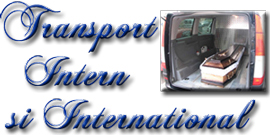transport intern si international